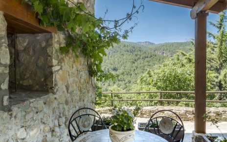 One of the several terraces